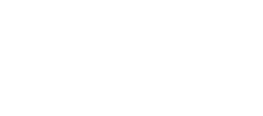 ARCONIE